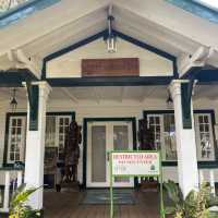 A Paradise in the City of Pines