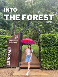Into the forest คาเฟ่ในหุบเขา บรรยากาศดี 