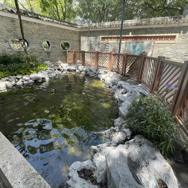 🌳荃灣區·古樸後花園🌳 🌳荃灣區·古樸後花園🌳