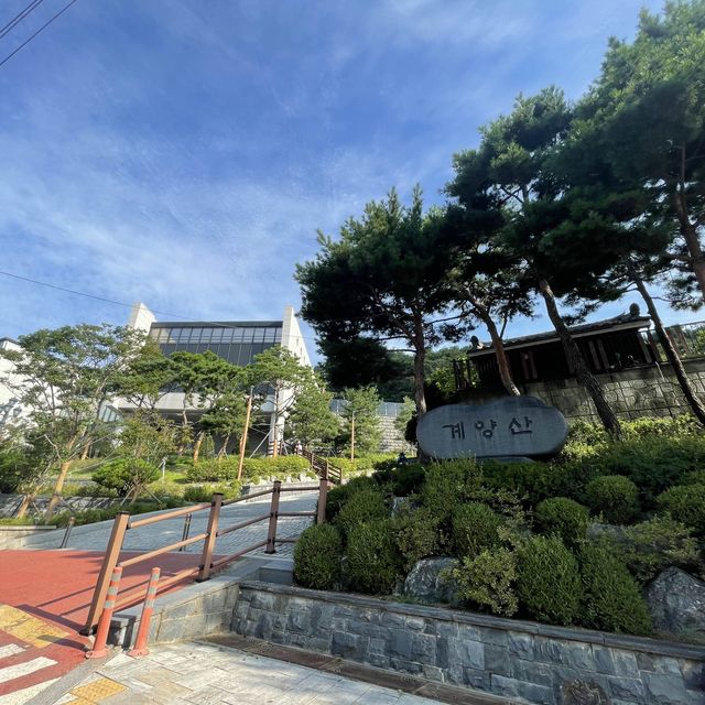 桂陽山城博物館🚶‍♀️桂陽山城🚶‍♀️散策
