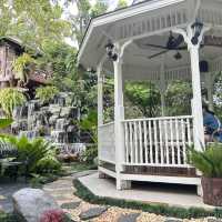 คาเฟ่เป็ดสำหรับเด็กๆ บรรยากาศชนะเลิศ