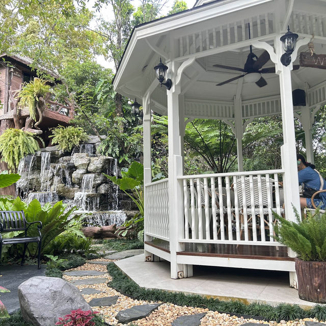 คาเฟ่เป็ดสำหรับเด็กๆ บรรยากาศชนะเลิศ