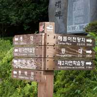 My Last Solo Trip at Odong Island of Yeosu 