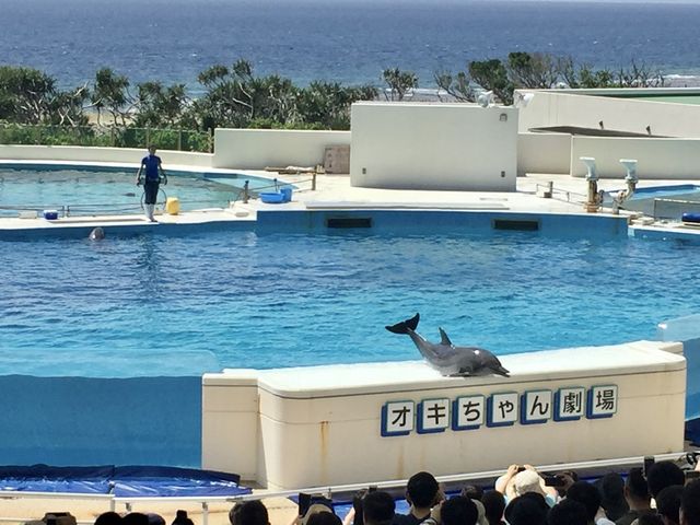 國營沖繩紀念公園海洋博公園