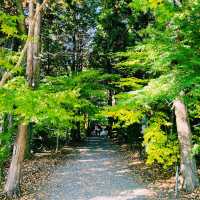 【長野県/紅葉が美しい🍁”出早雄小萩神社”と”出早公園”】