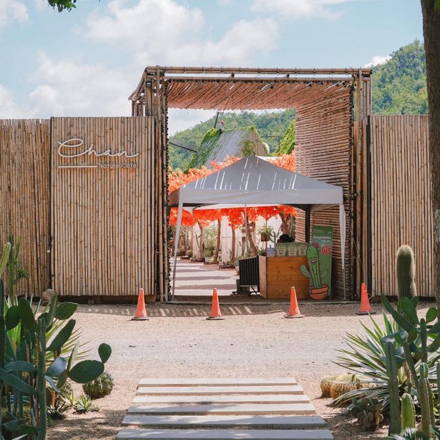 CHAN nature cafe' คาเฟ่ที่ถูกโอบล้อมไปด้วยแคตตัส