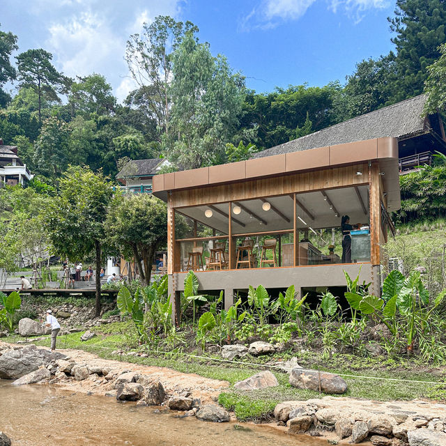 WTF Coffee Camp - คาเฟ่สุดชิคท่ามกลางหุบเขา