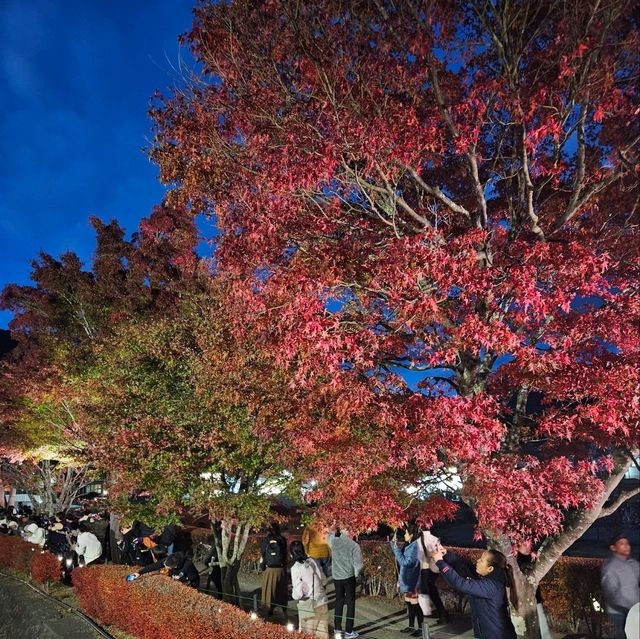 Autumn at Kawaguchiko