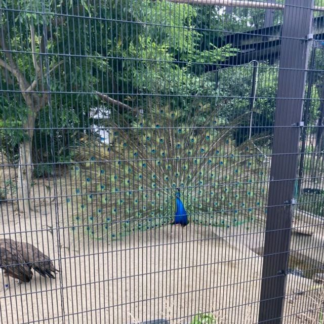 1903年開業の歴史ある動物園