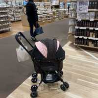 【大阪府】日本初のペットとお買い物できる無印良品へ！