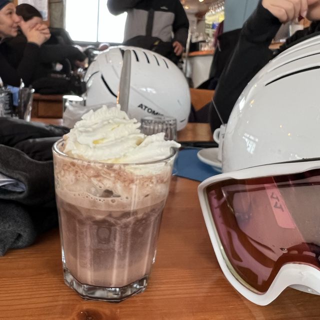 惡劣天氣下法國滑雪初體驗🏂Grenoble - largest alpine town