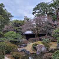 【京都】京都御所に行ってみた！