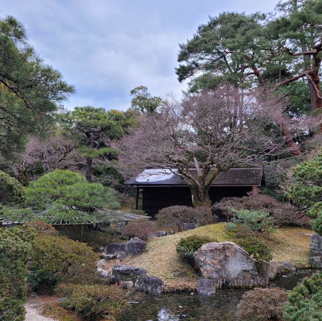 【京都】京都御所に行ってみた！