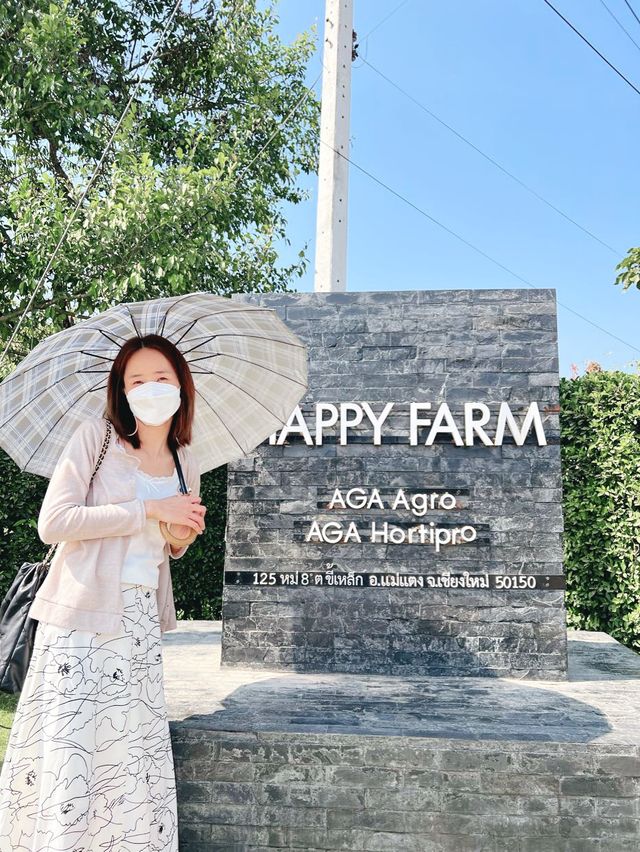 AGA Happy farm สวนดอกไม้แม่แตง เชียงใหม่