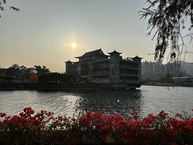 坐港鐵遊香港｜石門站｜安景街公園櫻花以外有驚喜