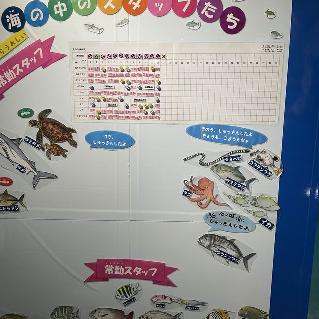 宮古島　天気が悪くても楽しめるスポット！