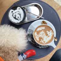 Pet friendly嘅西營盤cafe~ 