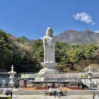 🌟 大邱｜桐華寺 #賞櫻景點 #春季旅遊 #八公山 #寺廟