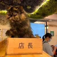 貓之茶房-荃灣分店