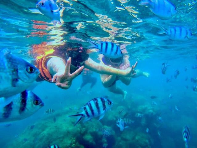 ดำน้ำดูปลานีโม่ @เกาะเสม็ด ระยอง 🐠