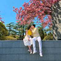 봄옷을 입은 부산 유엔공원
