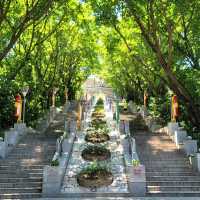 Peak of Tranquility: Bihaiwan Park🌳🌄