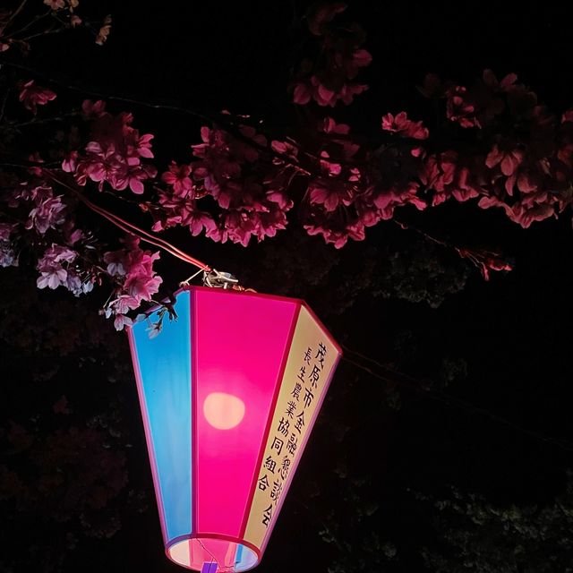さくら🌸 ฤดูแห่งความน่ารัก