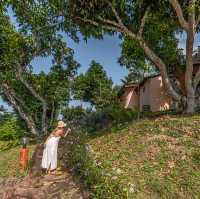 ที่พักน่ารักๆ ที่วังน้ำเขียว มีรถบ้านด้วย 🌳