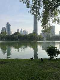 방콕에서 제일 추천하는 Lumphini park
