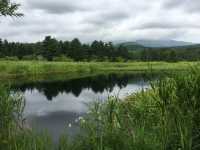 北海道　北海道観光　利尻島の南浜湿原に行ってきた！