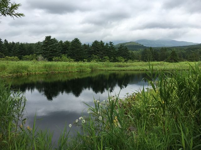 北海道　北海道観光　利尻島の南浜湿原に行ってきた！
