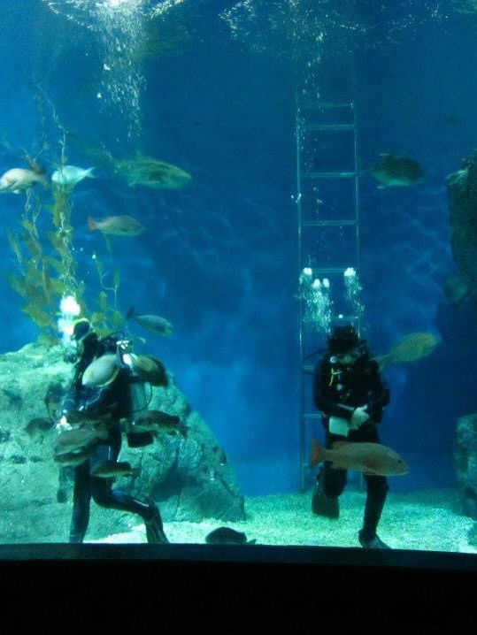 超合適泰國🇹🇭親子活動景點👍🏻曼谷最大水族館😛Siam Ocean World