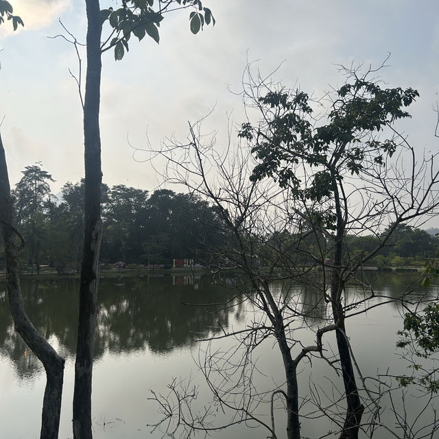 話望生湖畔公園