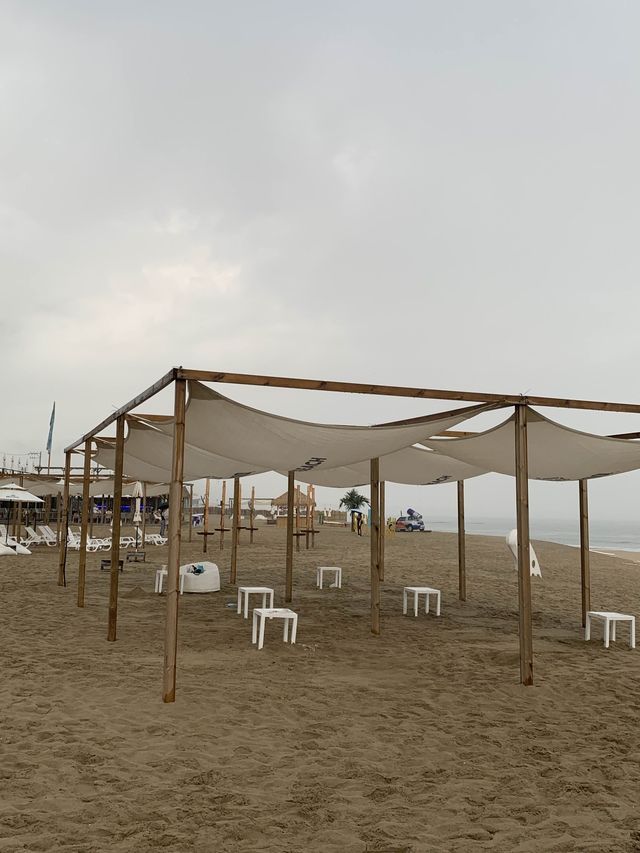 양양 양양하면 바로 가장 핫한 서피비치🌊🏄‍♀️ [양양_서피비치]