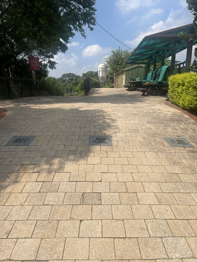 桃園市｜新屋區｜新屋埤環湖步道（桃園大圳12-2號池）
