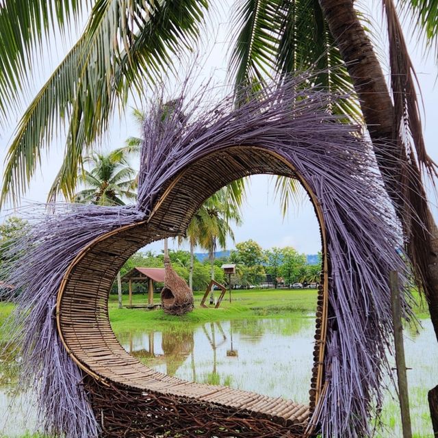 Laman Padi Langkawi
