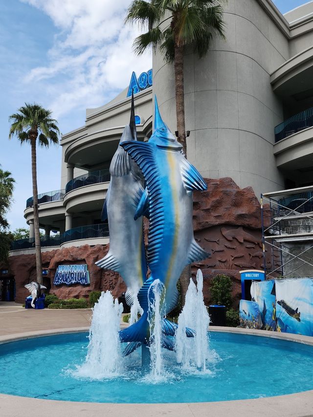 Downtown Aquarium 🦈✨