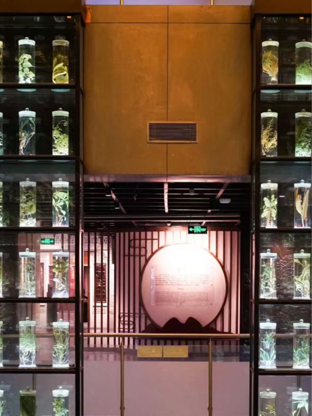 中醫的秘密🌿📚💫 廣東中醫藥博物館