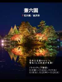 今年絶対に見逃したくない…！全国の紅葉ライトアップスポット7選🍁