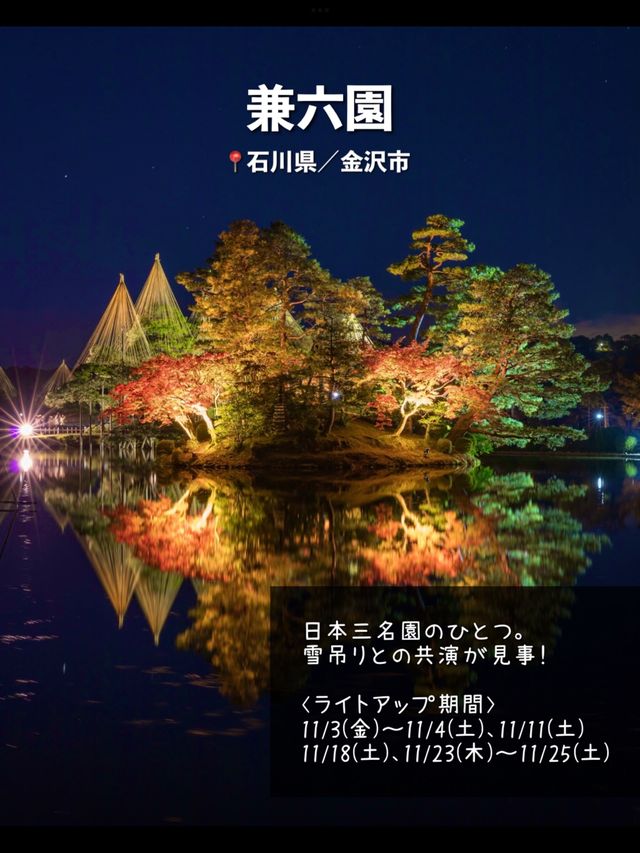 今年絶対に見逃したくない…！全国の紅葉ライトアップスポット7選🍁