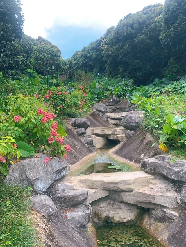 寶安公園～綠意盎然的遊樂天堂🌳🎠🌈 