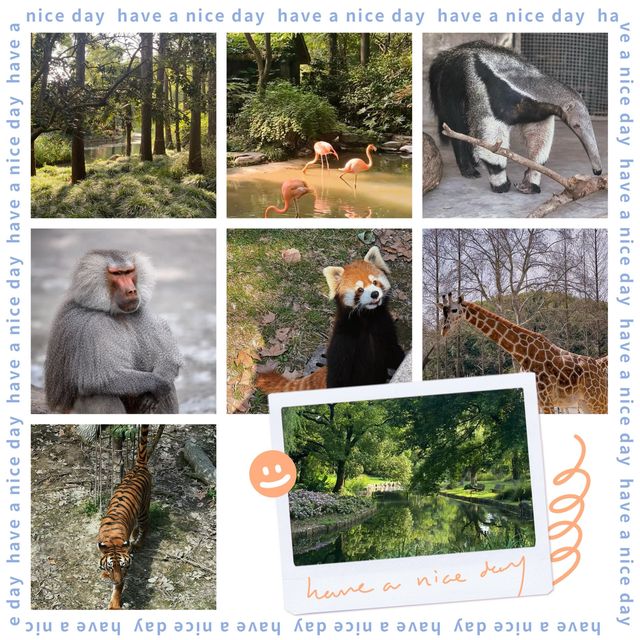 愛媛県立Tobe 動物園 🐼🌴與可愛動物的奇幻相遇