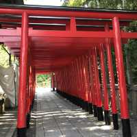 犬山市針網神社⛩️一日遊必到之景點