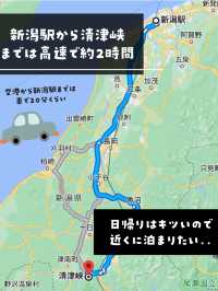 【新潟】家族旅行激推し！遊べるのコスパ最強リゾート ベルナティオが最高すぎた