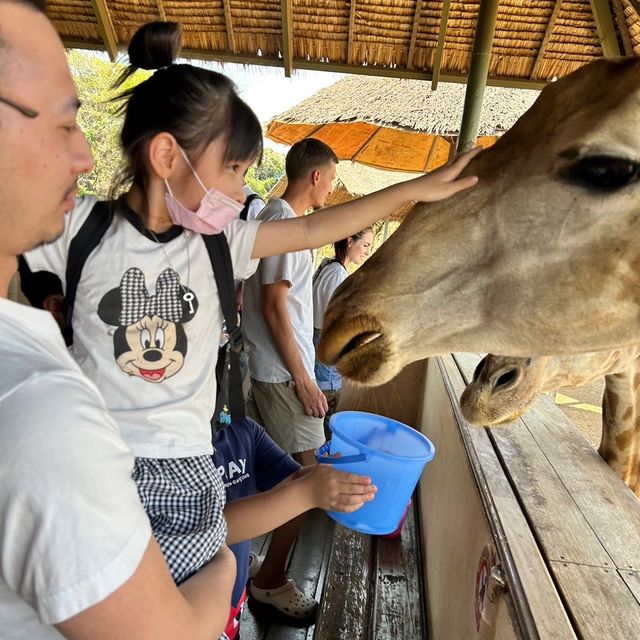 近距離跟老虎、長頸鹿和駱駝互動的超有趣動物園 🦒🐯🐫