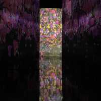 全亞洲最大TeamLab! 