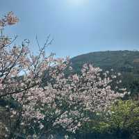 Yangmingshan National Park