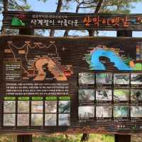 봄에 가기 좋은 트레킹 여행지💚