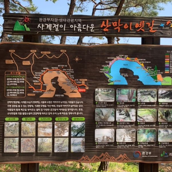 봄에 가기 좋은 트레킹 여행지💚
