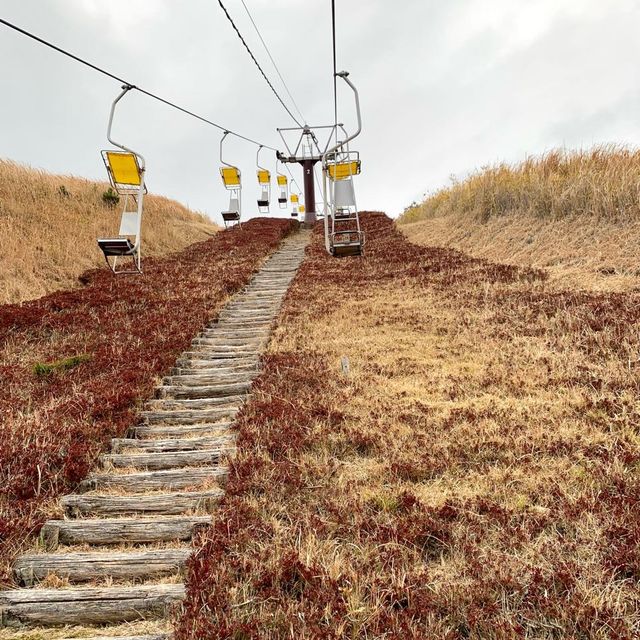 高處欣賞鹿兒島美景、挑戰長長滑板車道